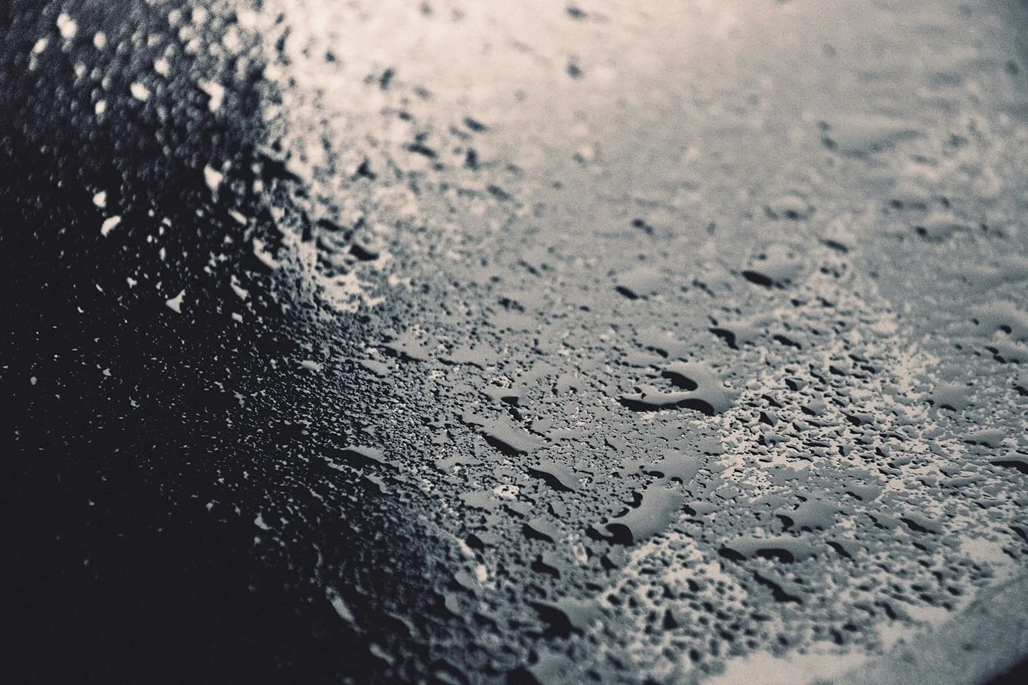 What is Container Rain? hero image