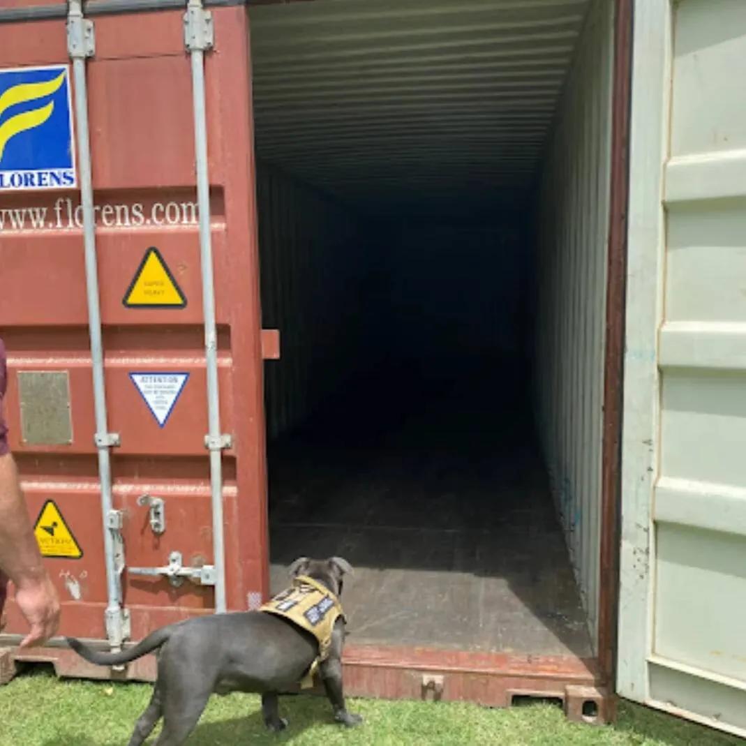 Used shipping container delivered to a Boxhub customer