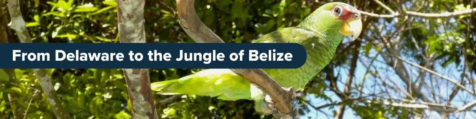 From Delaware to the Jungle of Belize