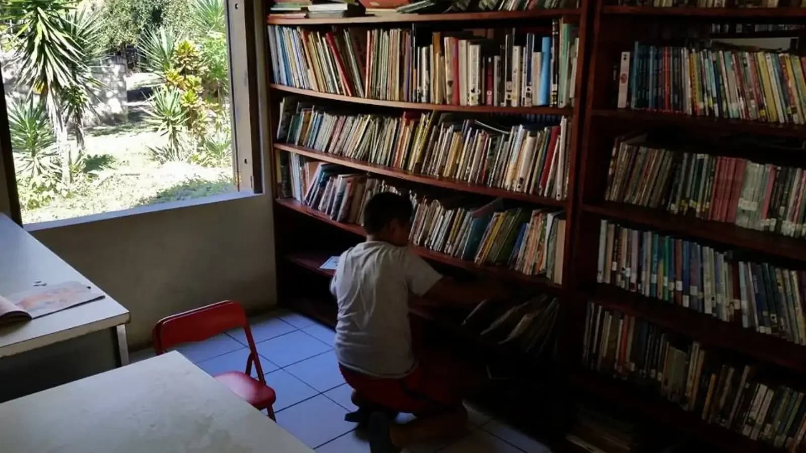 How a Shipping Container of Books Turned into a Reading Program in Belize hero image