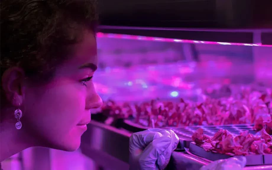 How to start a shipping container farm
