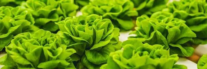 Shipping container farm modifications