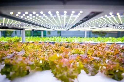 Creating your shipping container farm