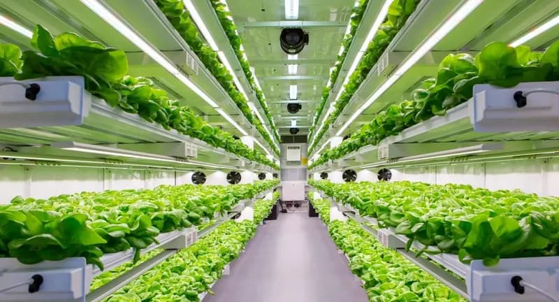 How to Start a Shipping Container Farm