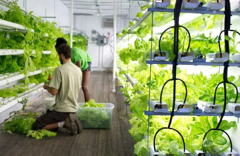 Move Farms, Not Food: Shipping Containers May Solve the Food Desert Problem