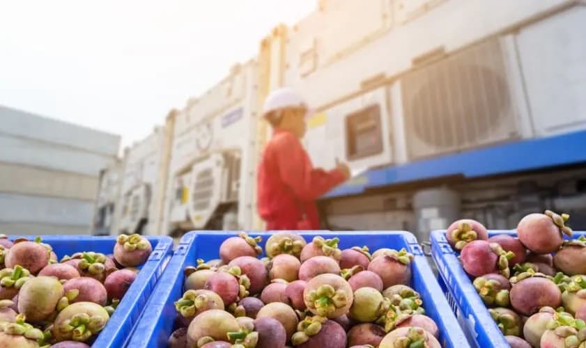 Most common reefer container applications