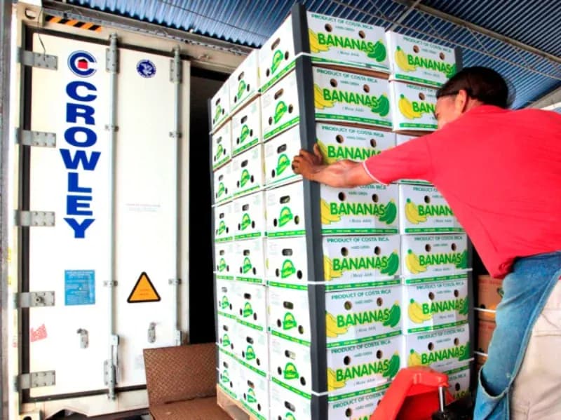 Best practices for loading and unloading reefer containers