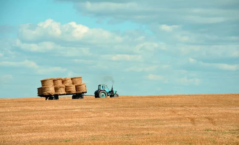 7 Cost-Effective Use Cases For Shipping Containers on a Farm