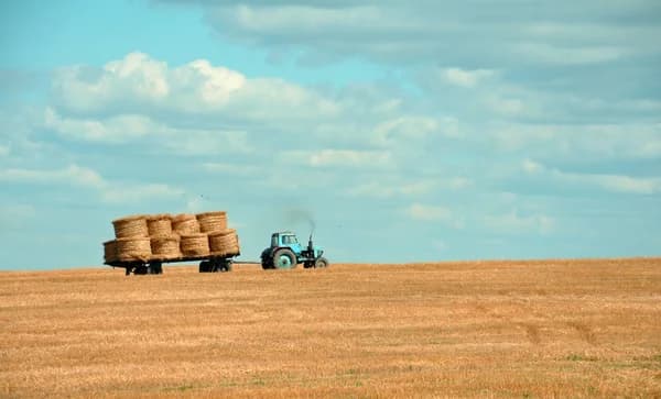 7 Cost-Effective Use Cases For Shipping Containers on a Farm