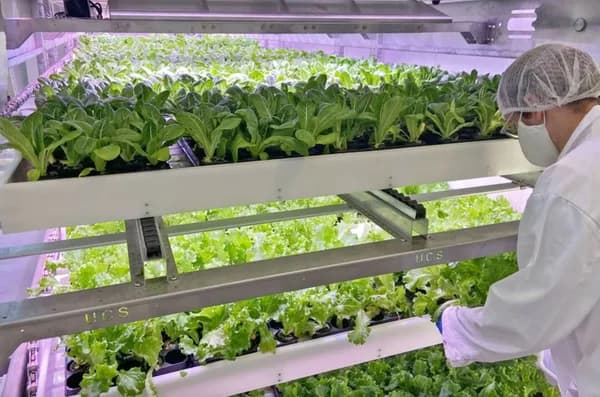 Move Farms, Not Food: Shipping Containers May Solve the Food Desert Problem