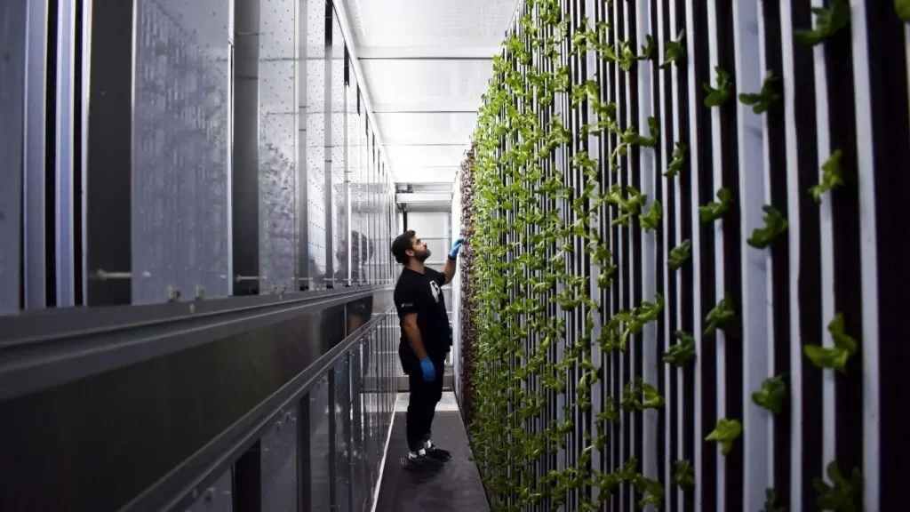 vertical-farm-shipping-container