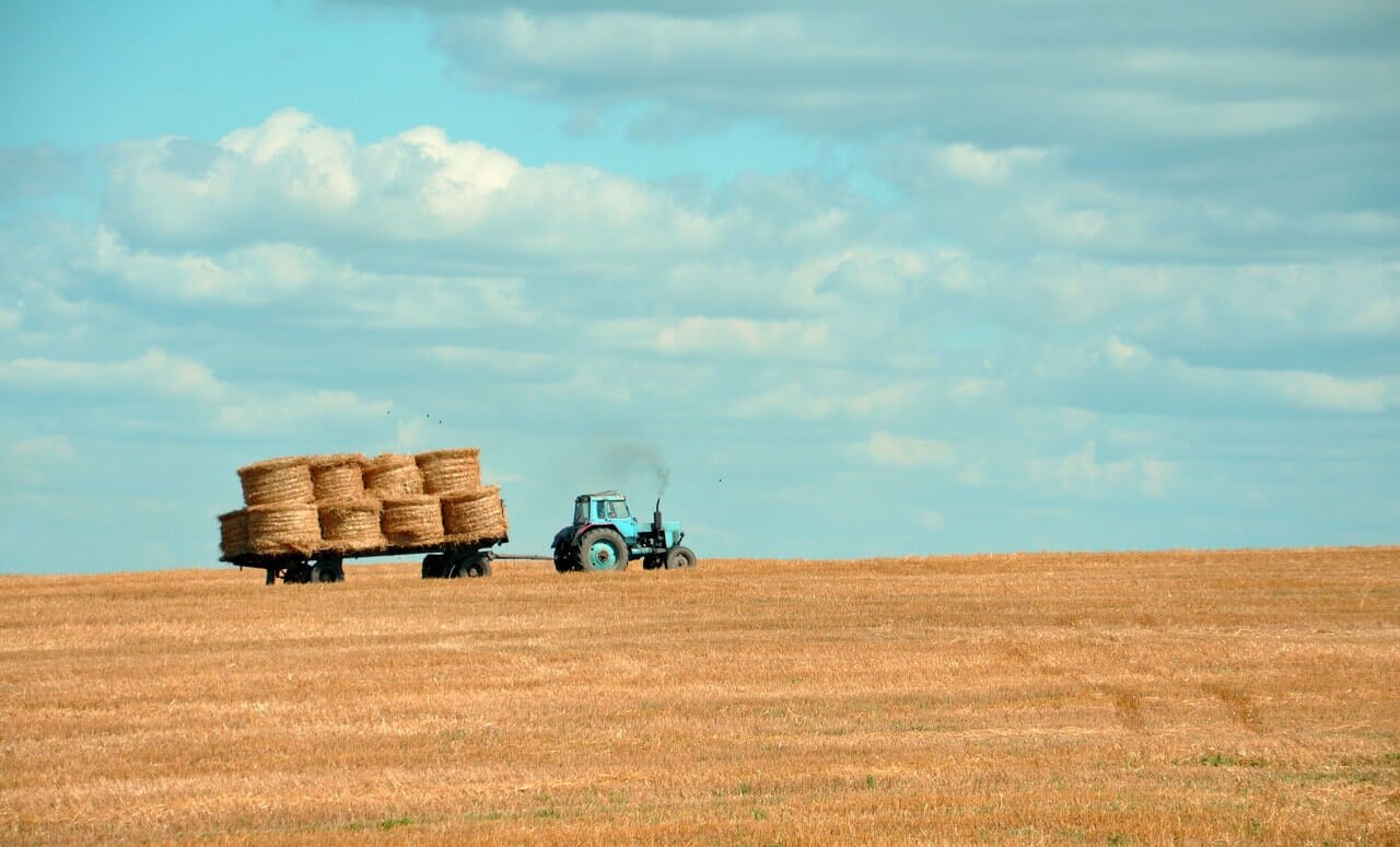 A tractor hauling bales of hay